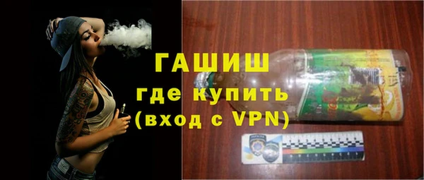 хмурый Алексин
