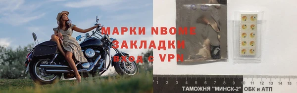 хмурый Алексин