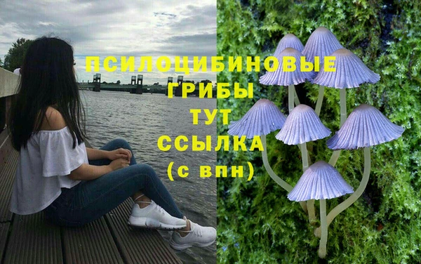 хмурый Алексин