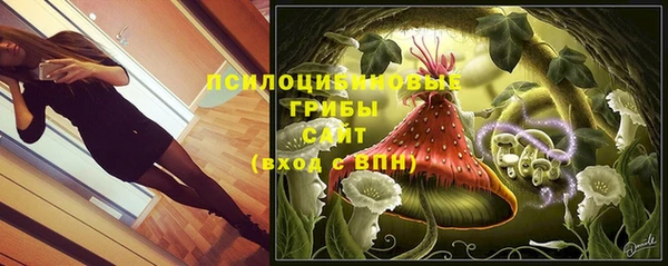 амф Алзамай