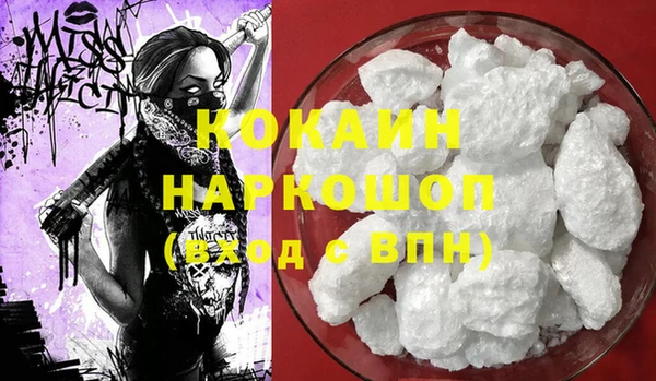 хмурый Алексин