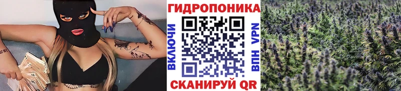 продажа наркотиков  Палласовка  МАРИХУАНА THC 21% 
